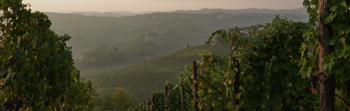 BAROLO DAY, A TRUNK SHOW {WEST HARTFORD}