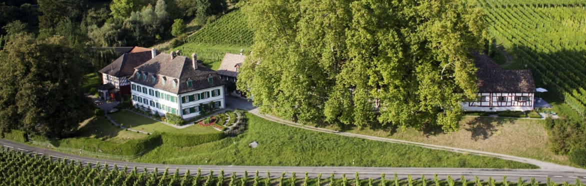 Evening with Schlossgut Bachtobel