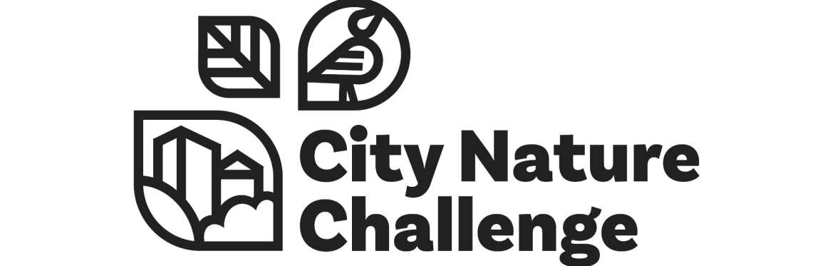 Botanical Skills NI City Nature Challenge: Bioblitz in Carnmoney Hill, Antrim