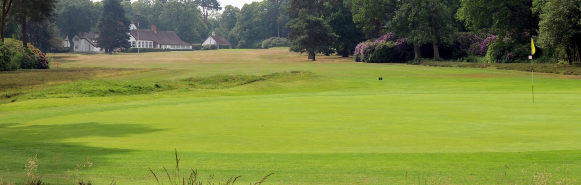 New Zealand Charity Golf Day