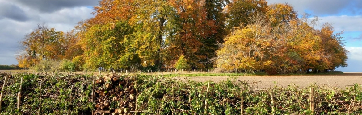 Volunteering on the Ridgeway at Wayland's Smithy