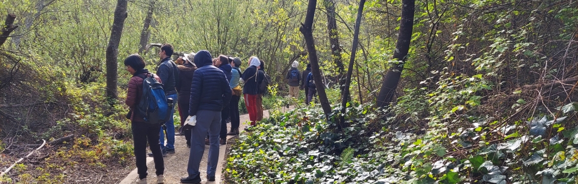 Nature Walk and Bird Count — June