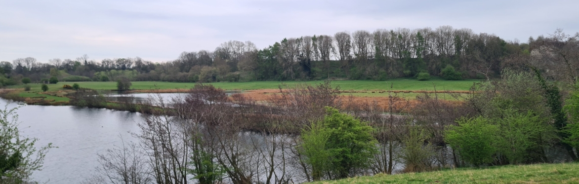 D'Arcy Hildyard Lakes