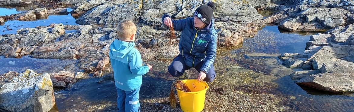 Rockpool Adventures with Hayley the Tiree Ranger