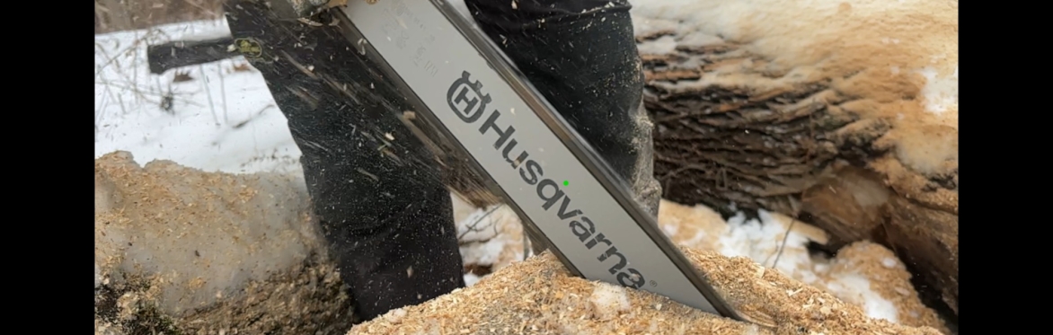 Chainsaw Safety Seminar Level 1
