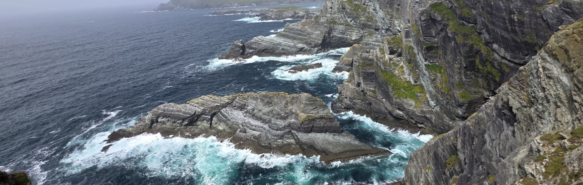 Connected to Nature: Protecting Species from River to Sea