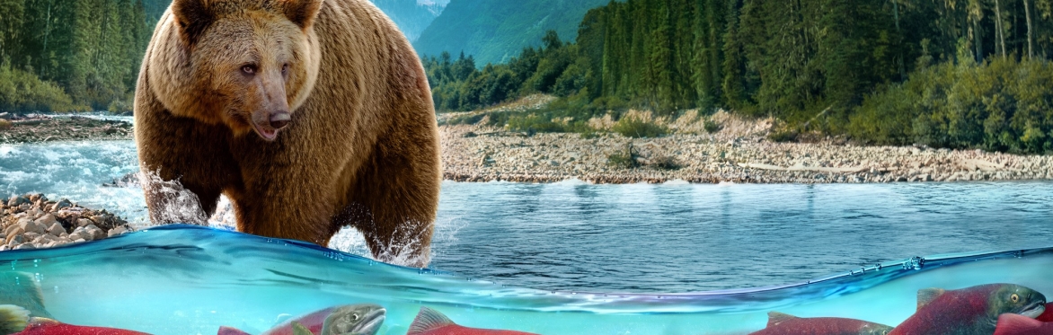 Running Wild: Return to the River
