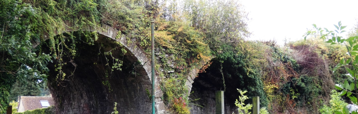 Coleford Canal - Walking Festival
