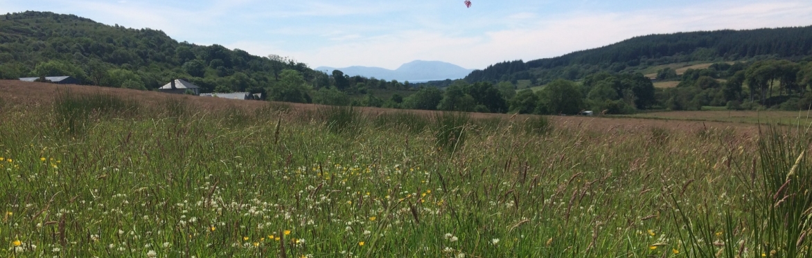 Landscape. Credit Katharine Lowrie