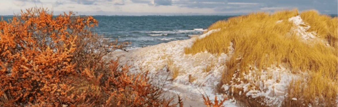 ELCAN Winter Gathering: Sea buckthorn & reels!