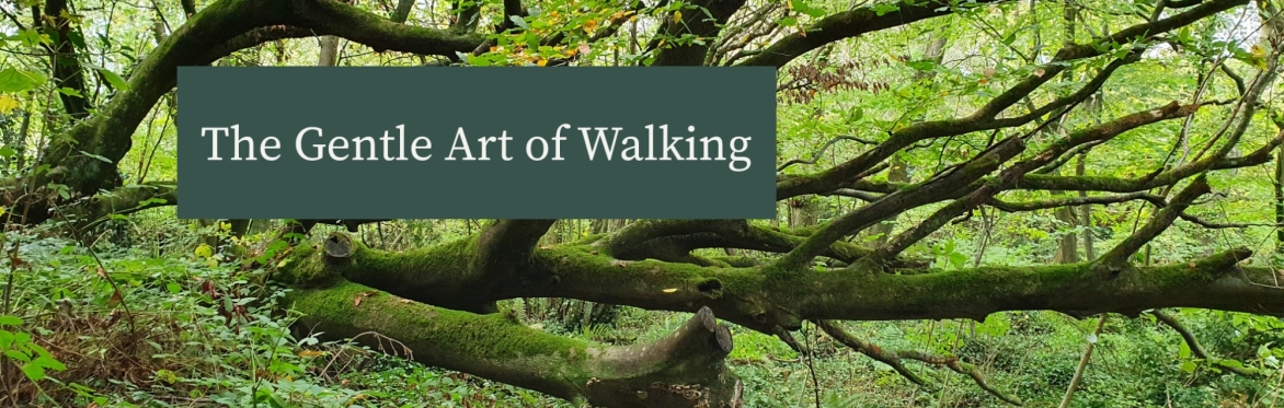 The gentle art of walking