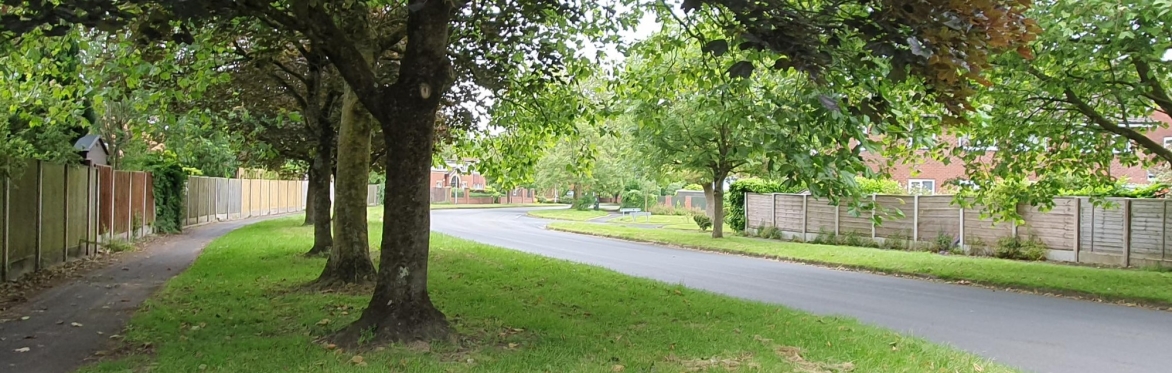 Tree Conference 2025 - Sandbach