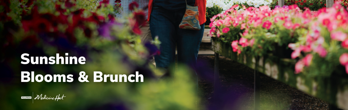 Sunshine Blooms & Brunch | March 21
