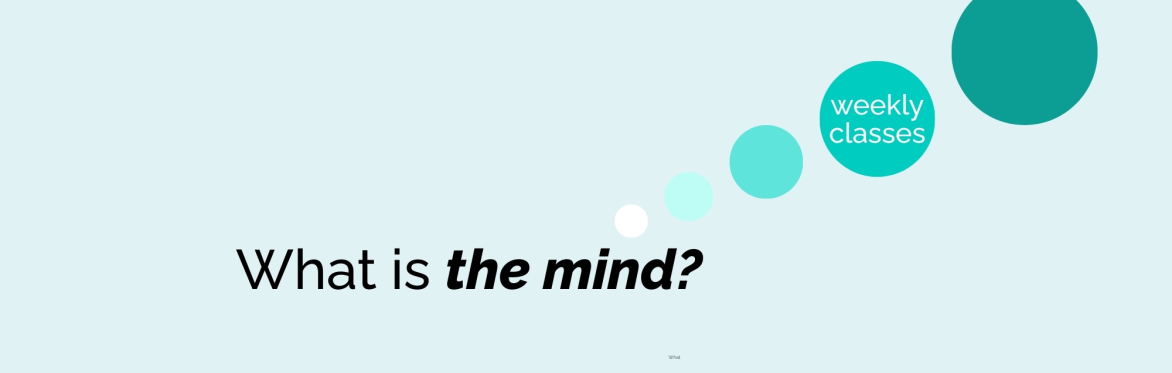 What is the Mind?