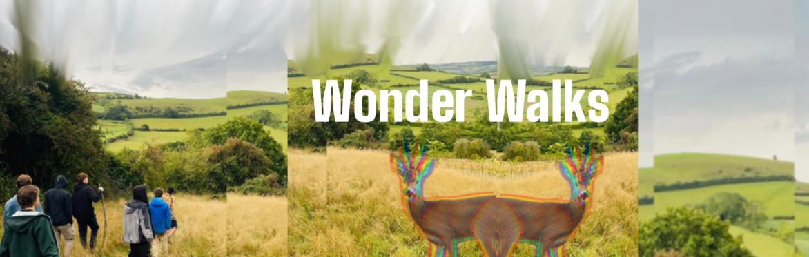 Wonder Walks