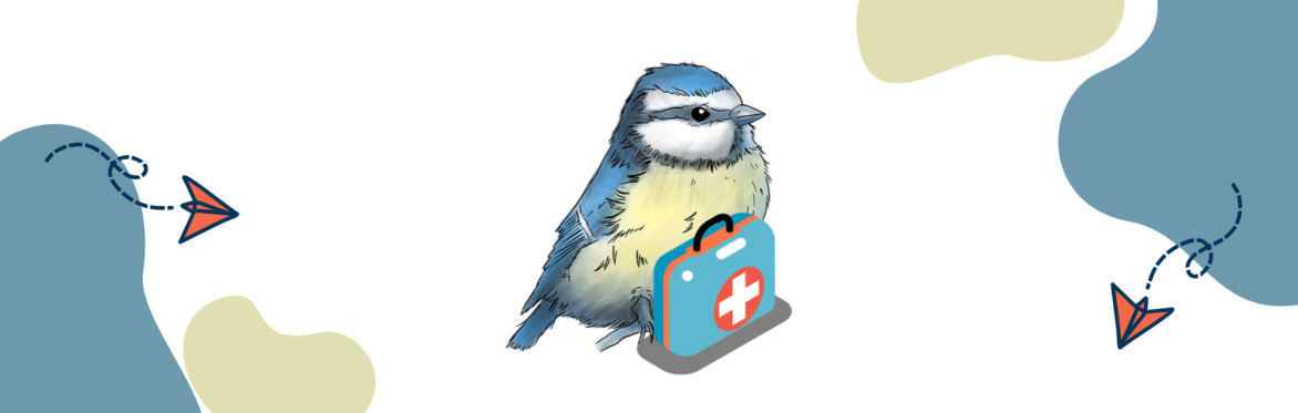 Getting Prepared: Offering Emergency Assistance To A UK Wildlife Casualty/Orphan...
