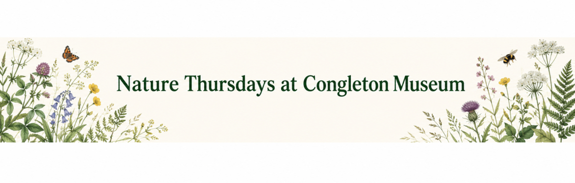 Bears, Blooms & Nature Cards Workshop - Nature Thursdays at Congleton Museum