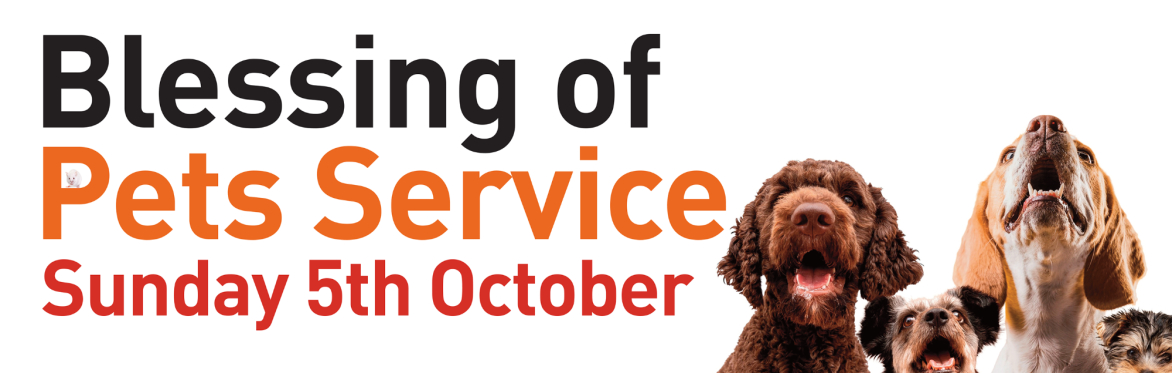 Pet Blessing Service