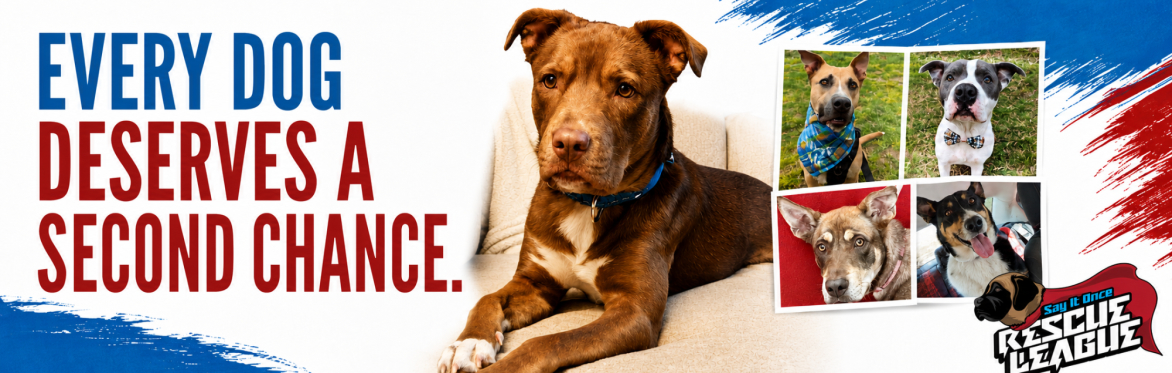 Sponsor an Adoptable Dog
