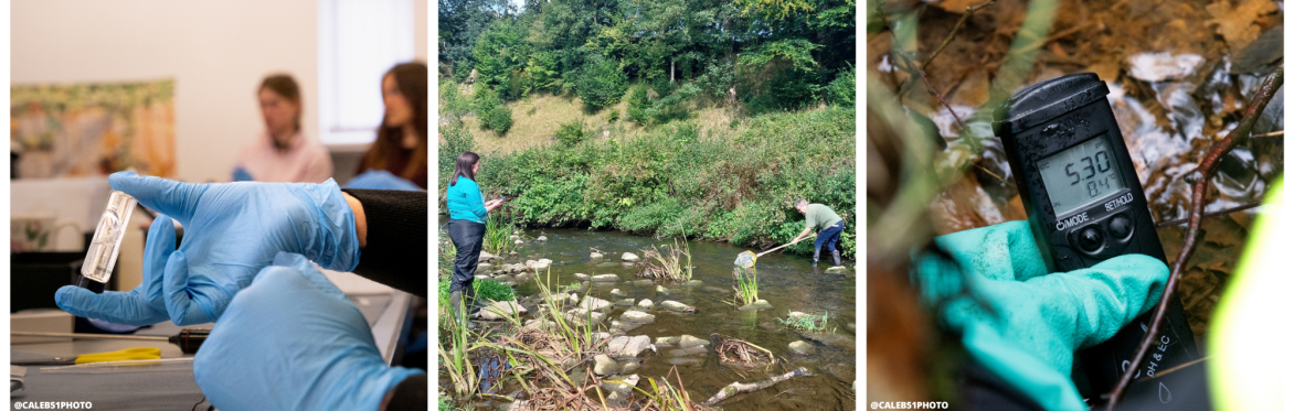 Barnoldswick RiverBlitz: Community-led Investigation of Local River Health