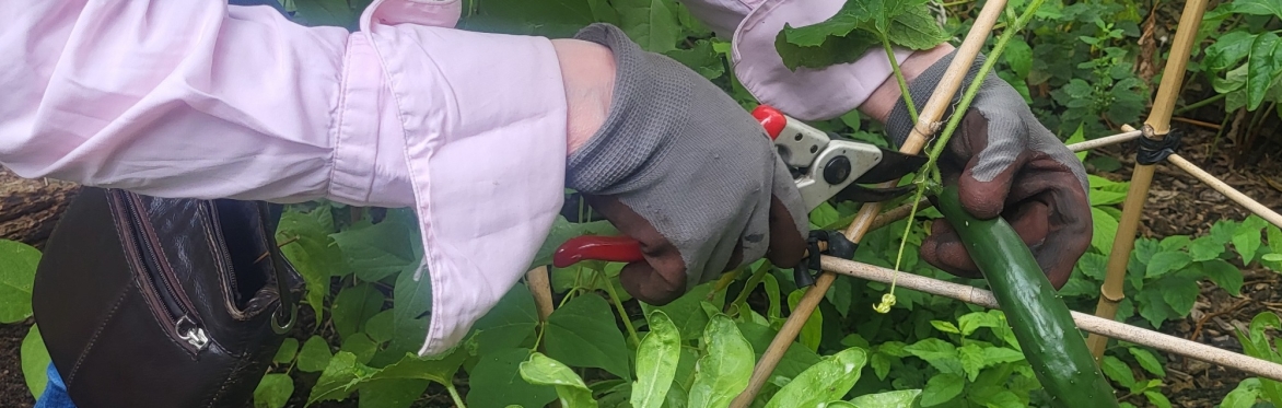 Sunday Pruning With Camila Barboza