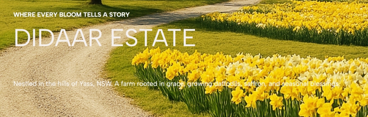 Didaar estate with daffodils