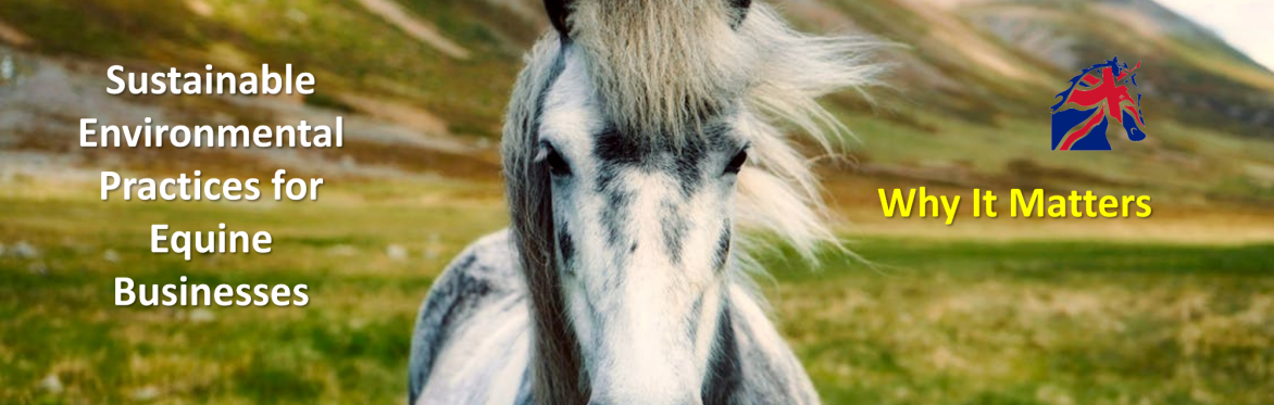 Sustainable Environmental Practices for Equine Businesses - Why It Matters