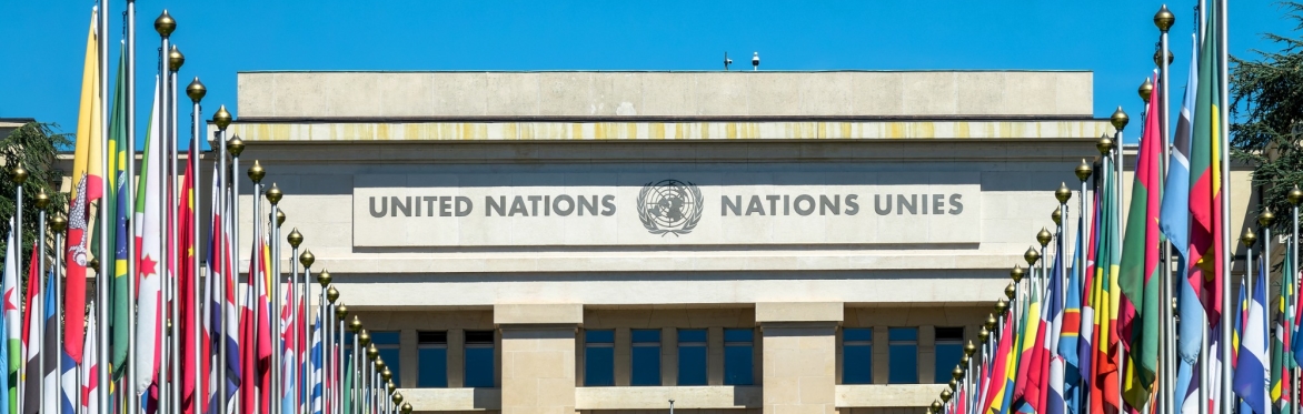 The Security Council and Judicial Intervention in Ukraine and Israel/Gaza
