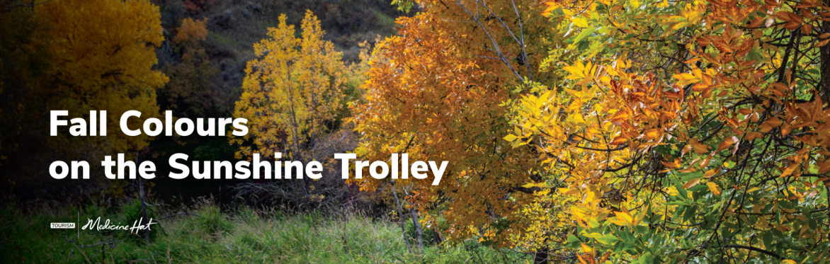 Fall Colours on the Sunshine Trolley