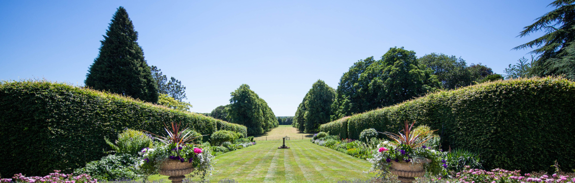 Visit the Gardens
