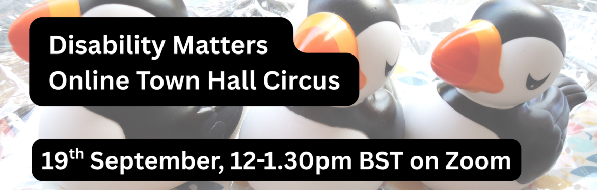 Background image of three rubber puffins, text reads: Disability Matters Online Town Hall Circus, 19th Sepetember, 12-1.30pm on Zoom"