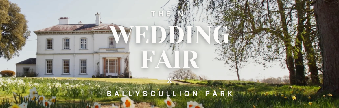 Ballyscullion Park Banner