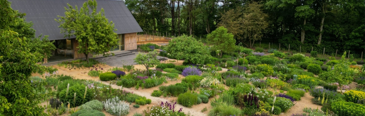 A garden with purple plants and a steel trough