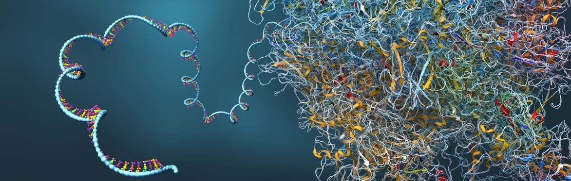 The New Science of Aging: Understanding why we age, and what we can do about it