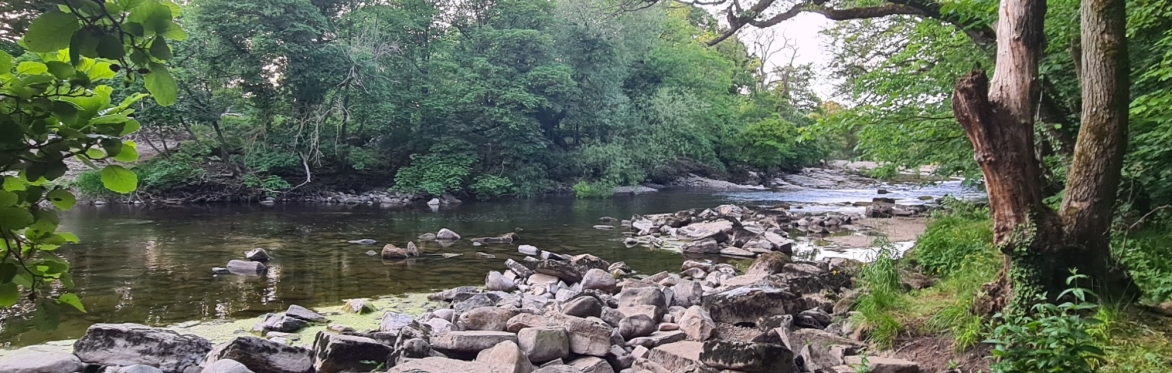 Fly Fishing Meet Up