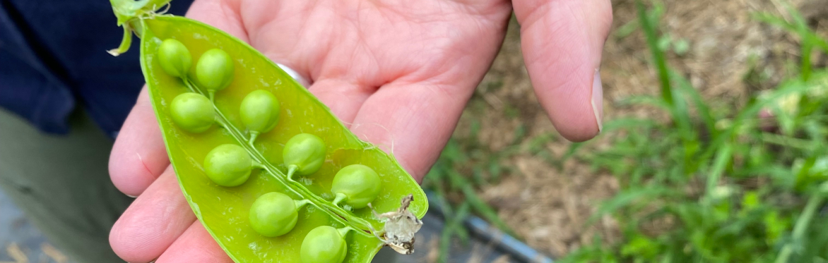 Sensory Farm Tour