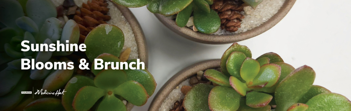 Sunshine Blooms & Brunch | June 6