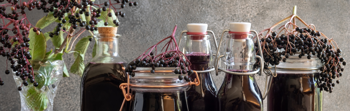 Nature-based sessions for women: Nature's larder