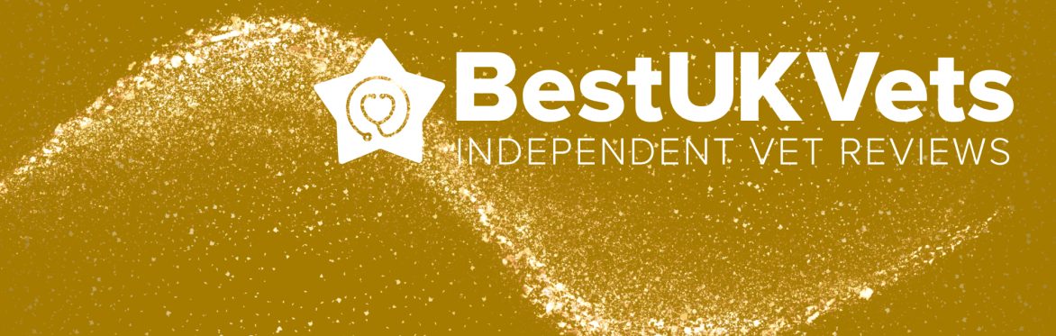 BestUKVets Awards 2025!