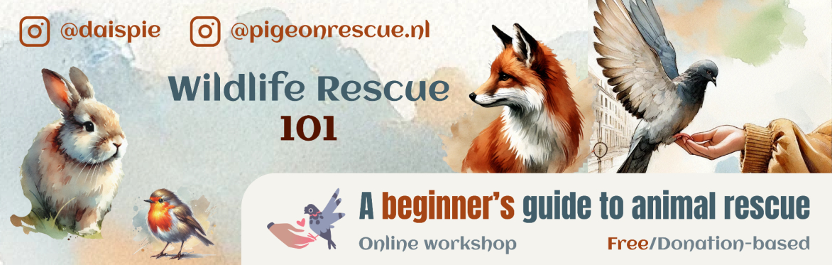 Wildlife Rescue 101 - A Beginner's Guide to Animal Rescue