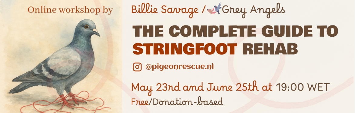 The Complete Guide to Stringfoot Rehab