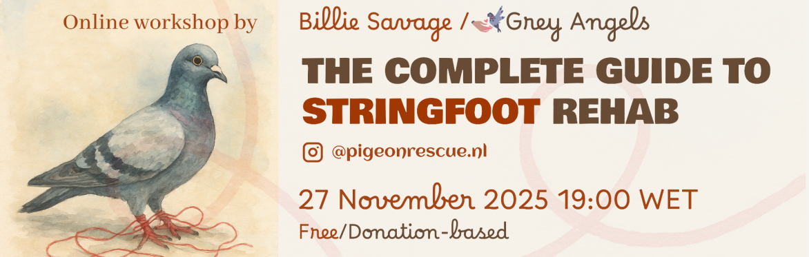 The Complete Guide to Stringfoot Rehab
