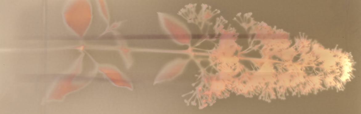 SPARK #49: In There - Low Impact Photography