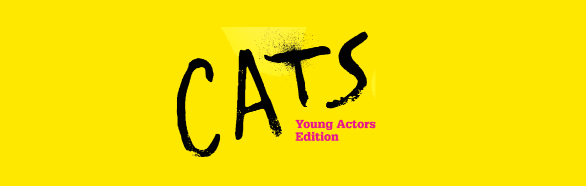 Holmer Green Players Juniors perform CATS - Young Performers Edition