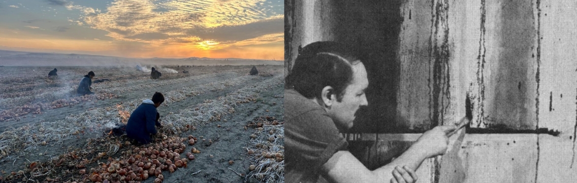 Documentary Showcase: Harvest of Light & Whispering Walls