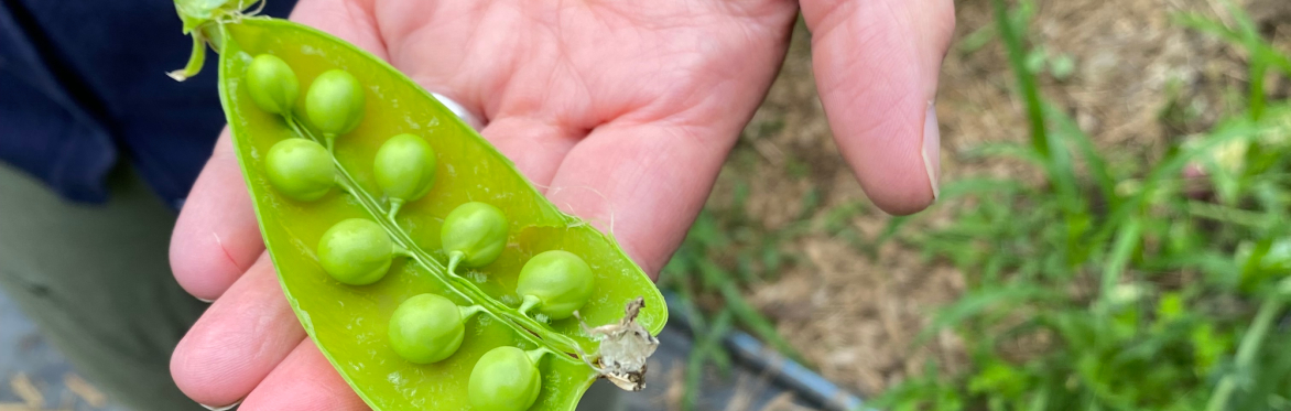 Sensory Farm Tour