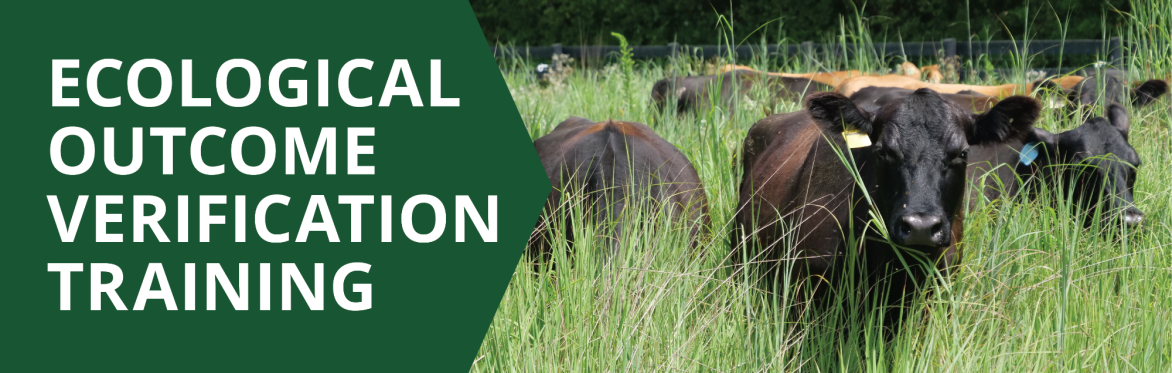 Ecological Outcome Verification Training
