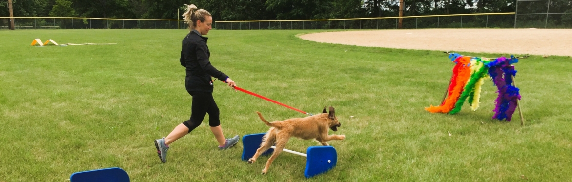 Canine Explorers Workshop 2026