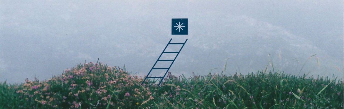 Outdoor landscape featuring Scottish heather and illustration of ladder and star