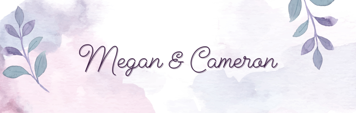 Megan and Cameron's Wedding
